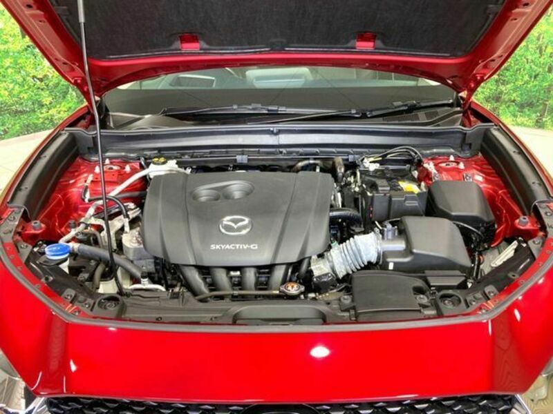 CX-30