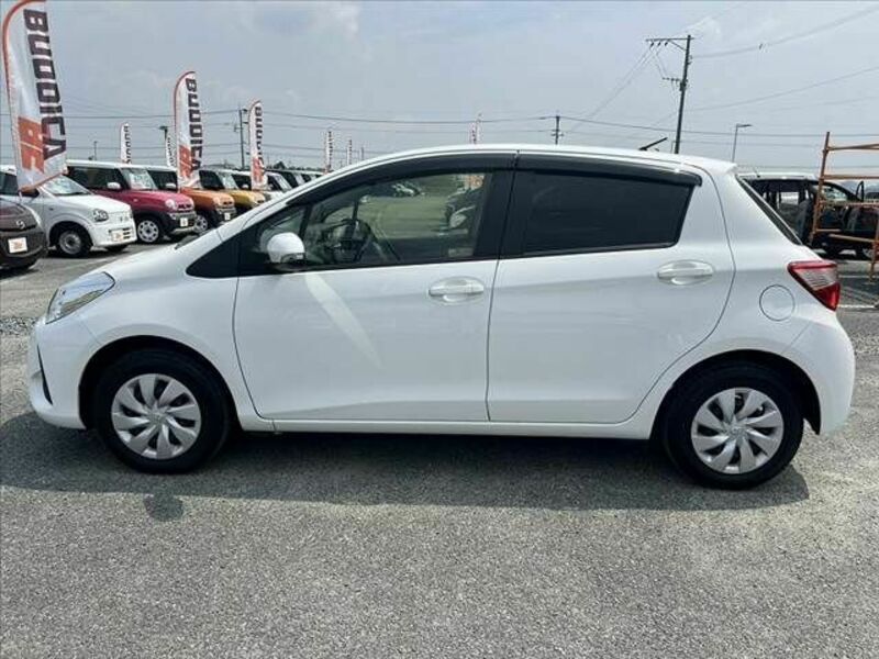 VITZ-10