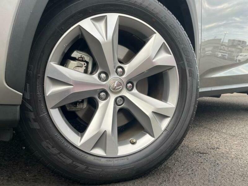 NX