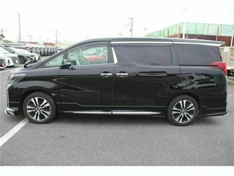 ALPHARD-8