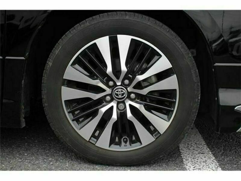 ALPHARD-13