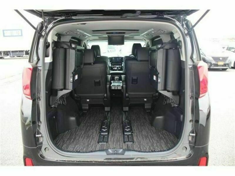ALPHARD-17