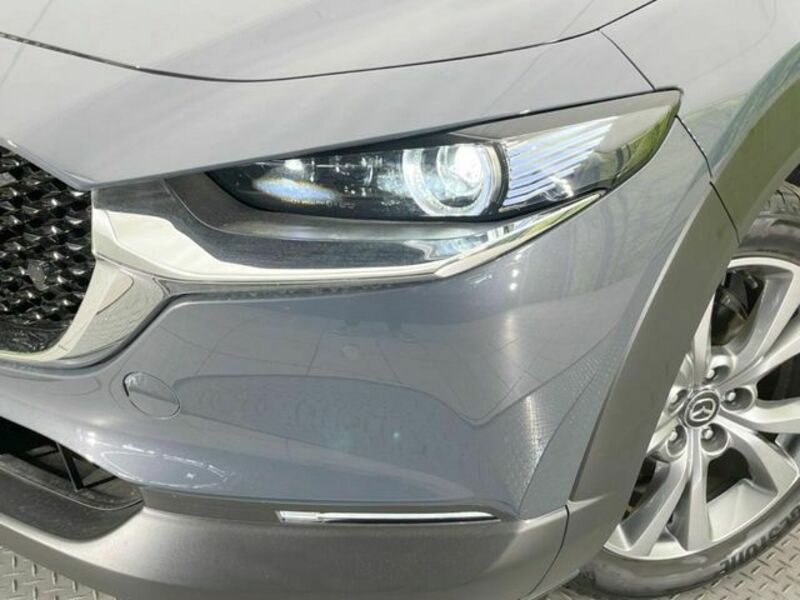 CX-30