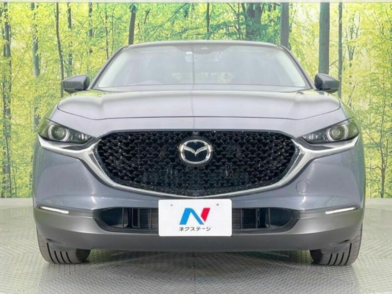 CX-30