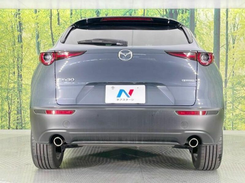CX-30