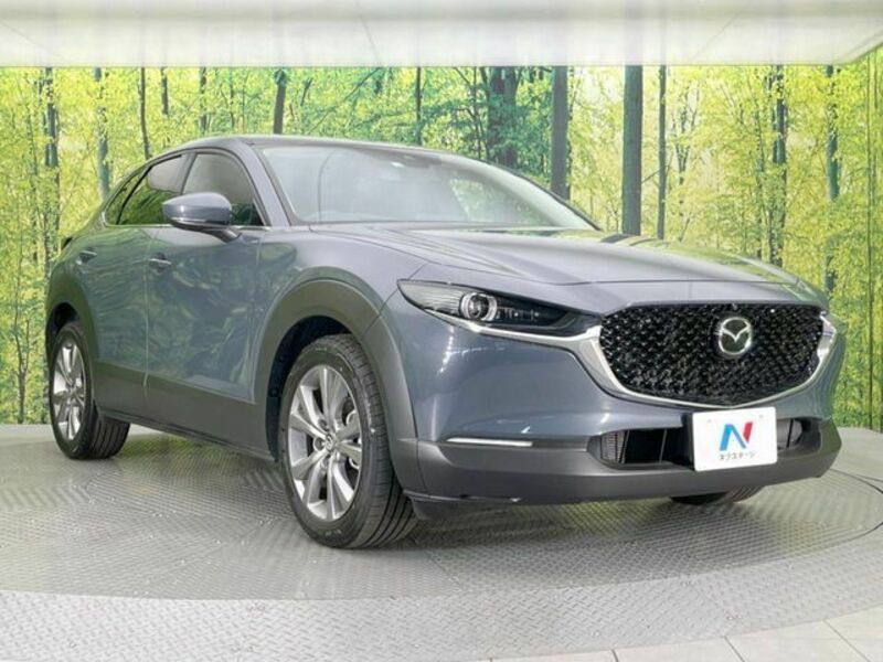 CX-30