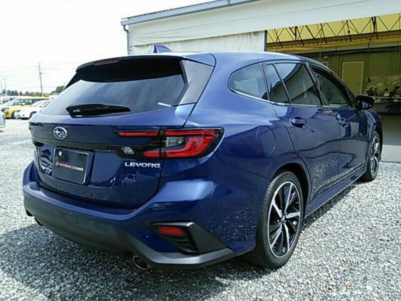 LEVORG