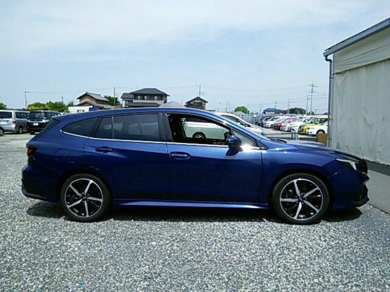 LEVORG