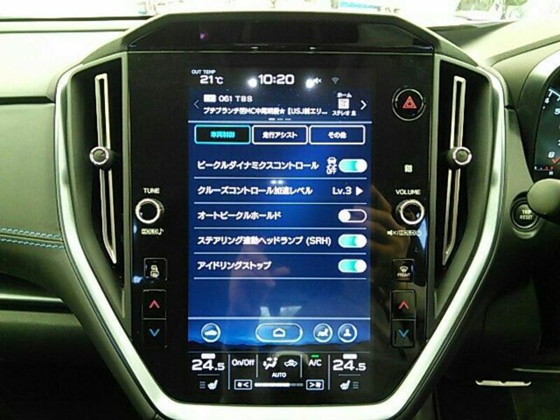 LEVORG
