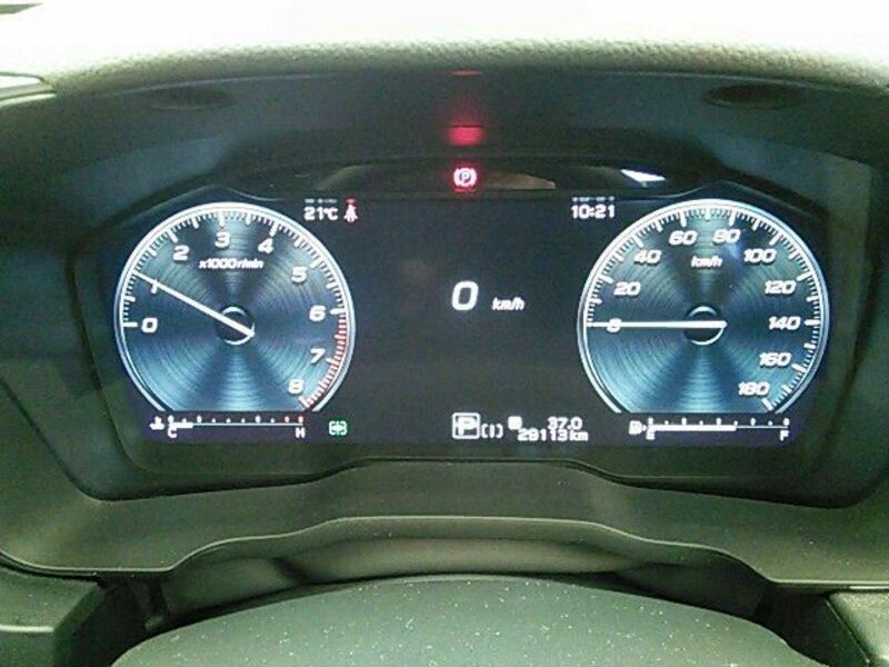 LEVORG