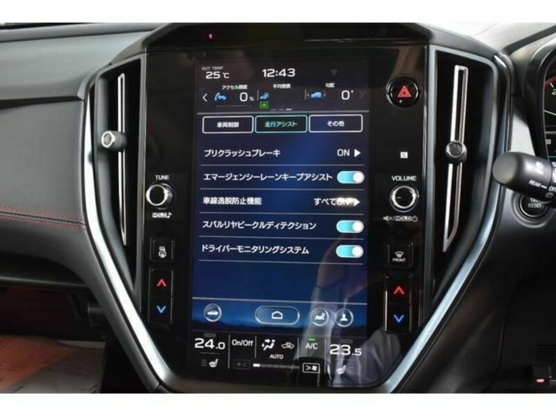 LEVORG