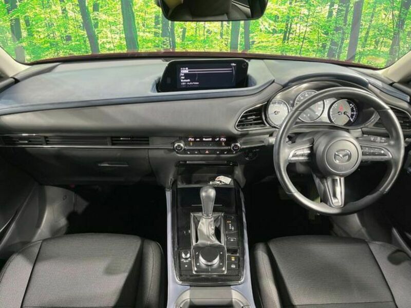 CX-30