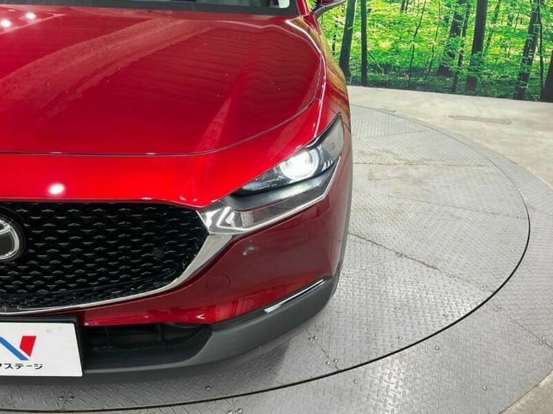 CX-30