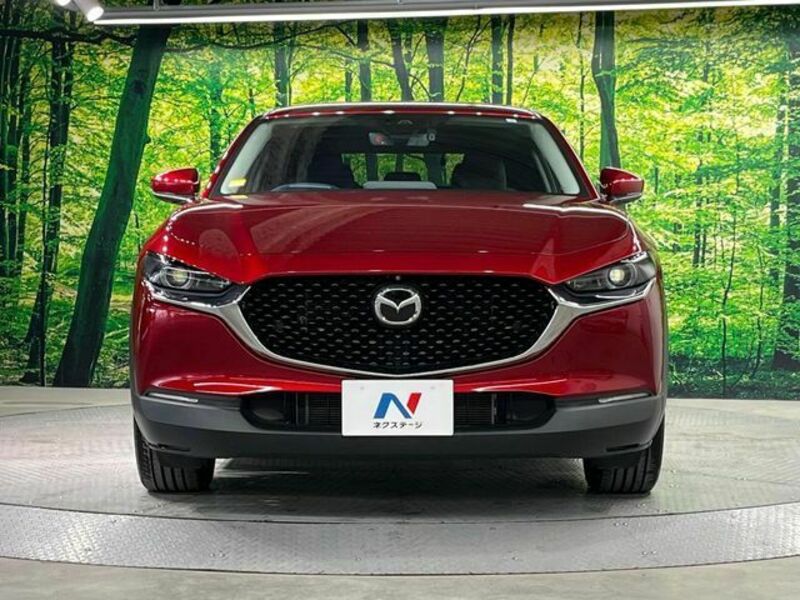 CX-30