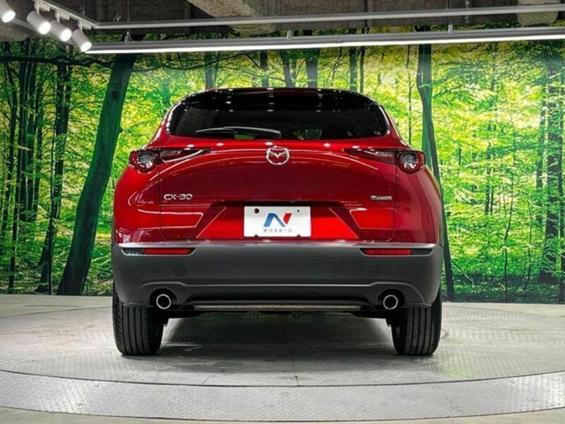 CX-30