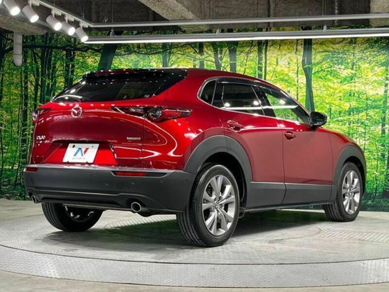 CX-30