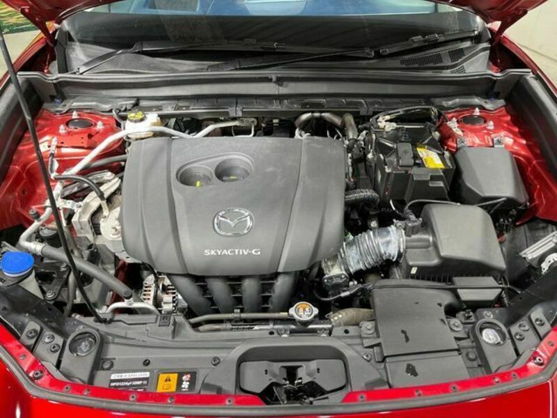 CX-30