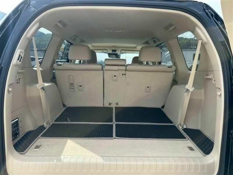 LAND CRUISER PRADO-17