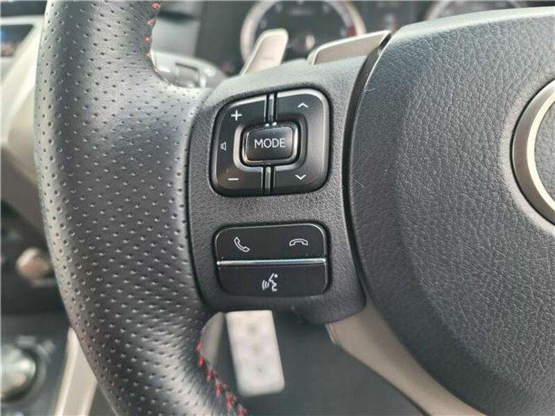 NX