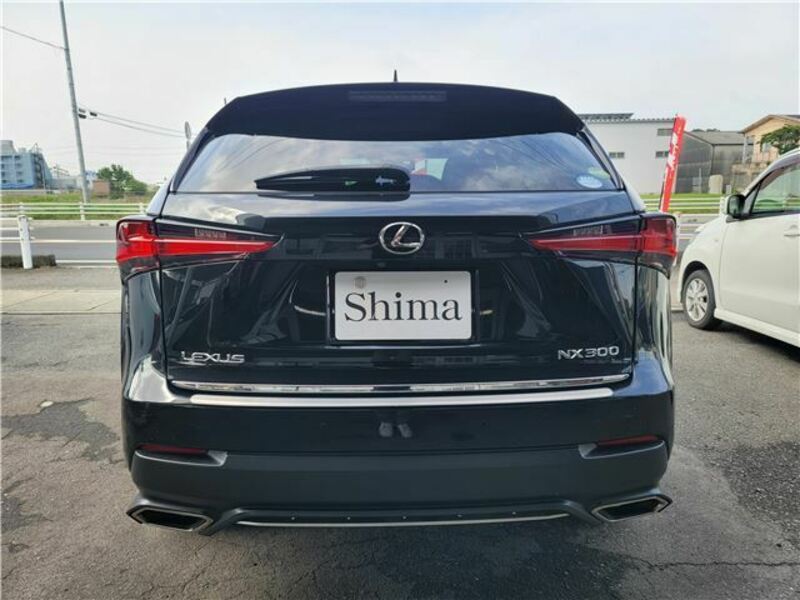 NX