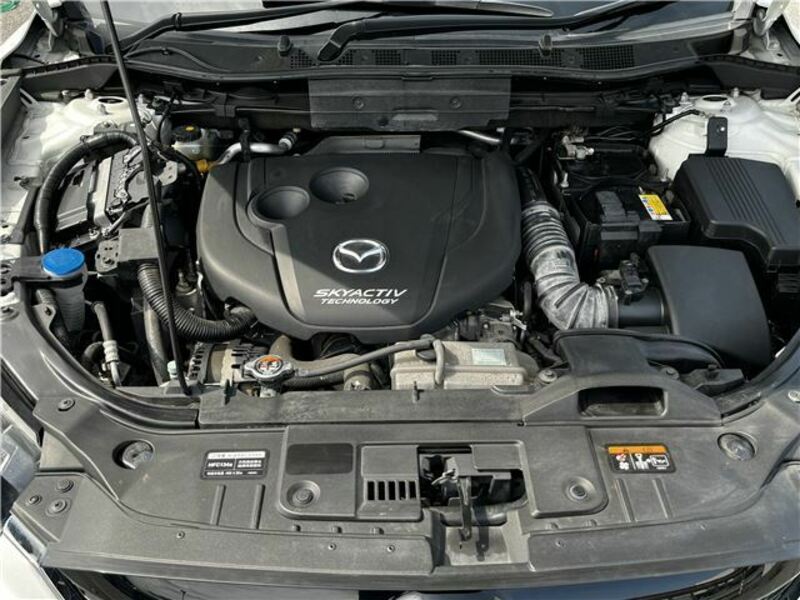CX-5-24