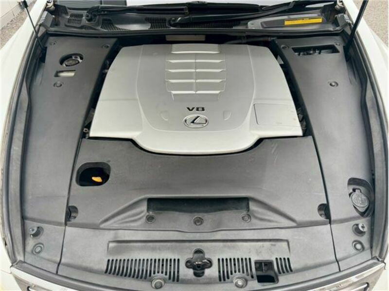 LS
