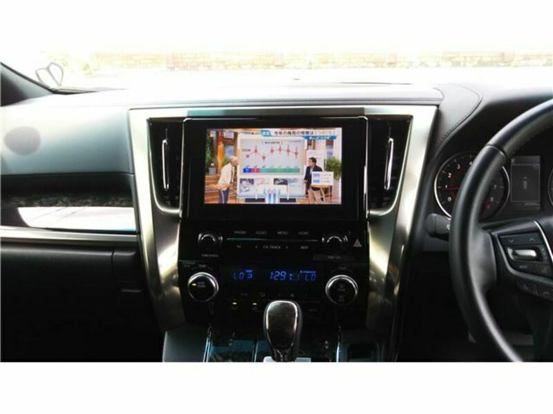 ALPHARD-6