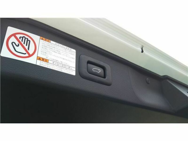 ALPHARD-17