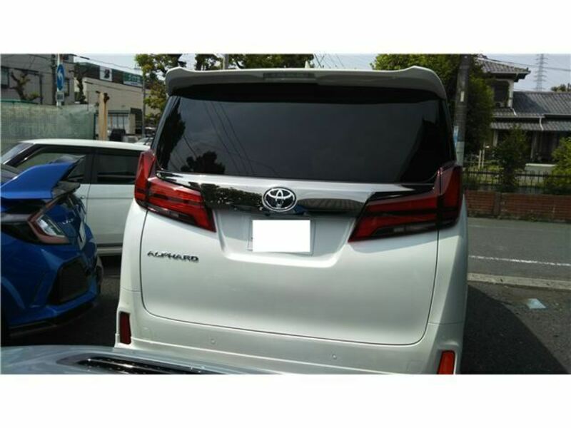 ALPHARD-19