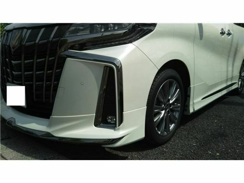 ALPHARD-22
