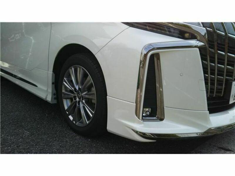 ALPHARD-23
