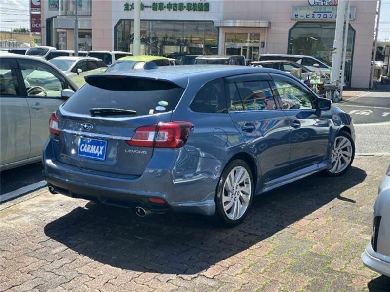 LEVORG