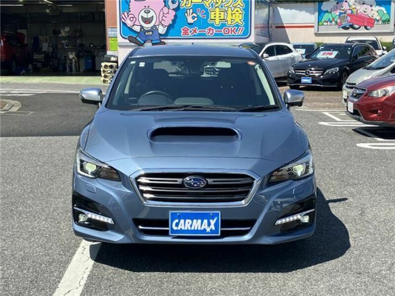 LEVORG