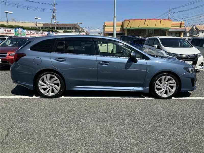 LEVORG