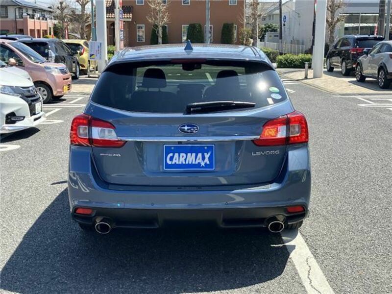 LEVORG