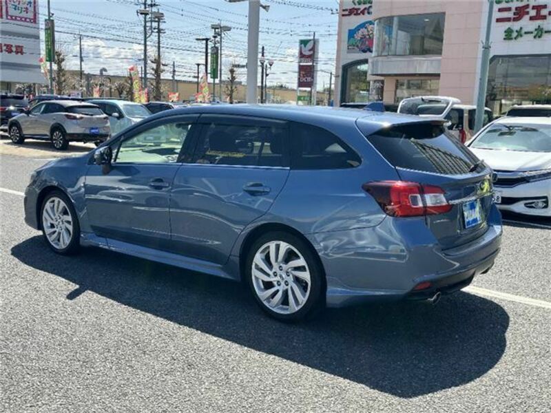 LEVORG