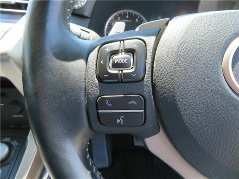 NX