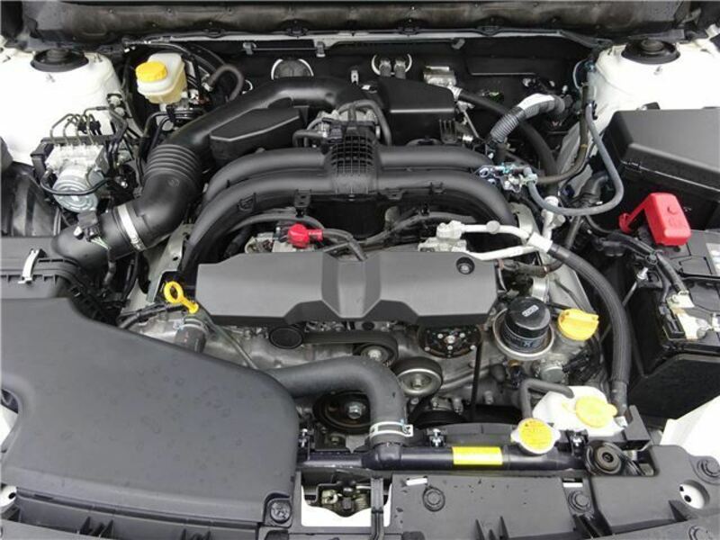 LEGACY B4