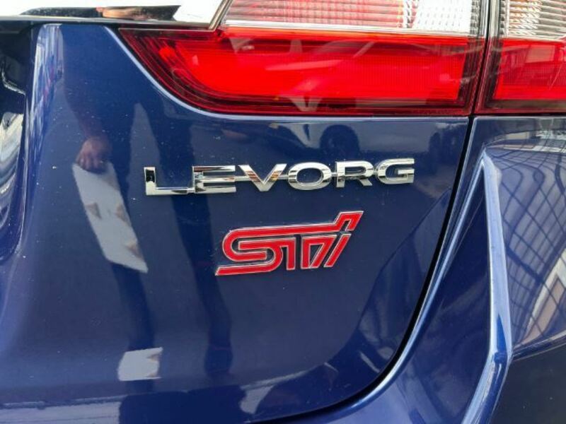 LEVORG