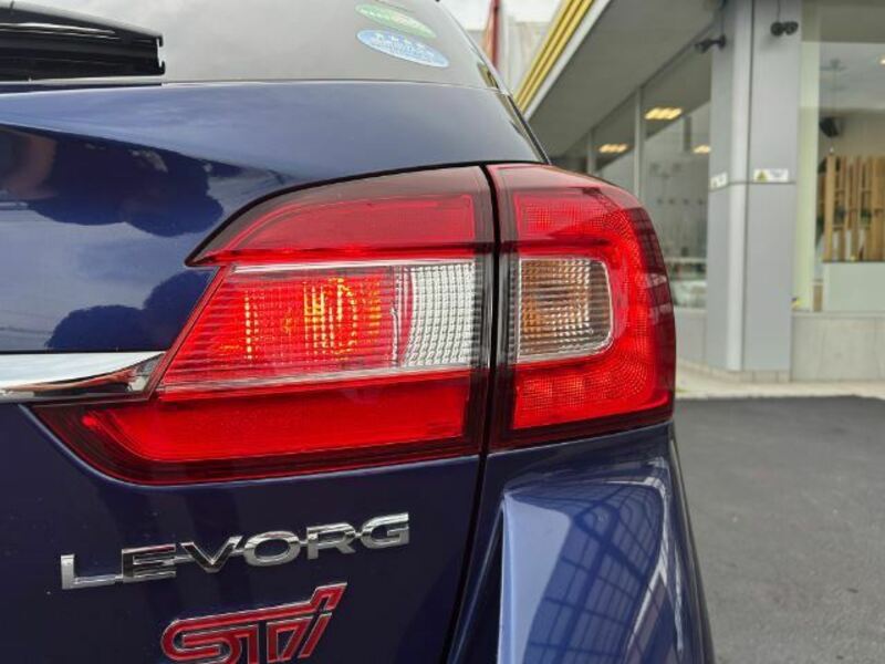 LEVORG