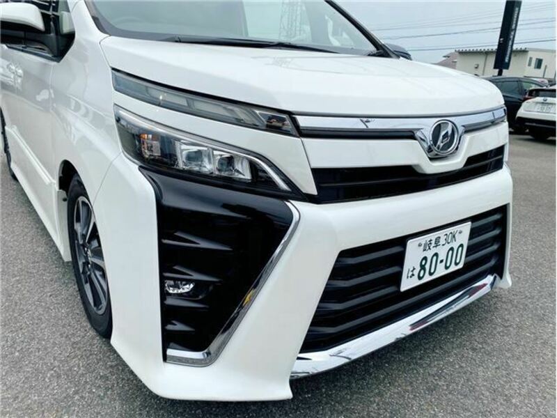 VOXY-19