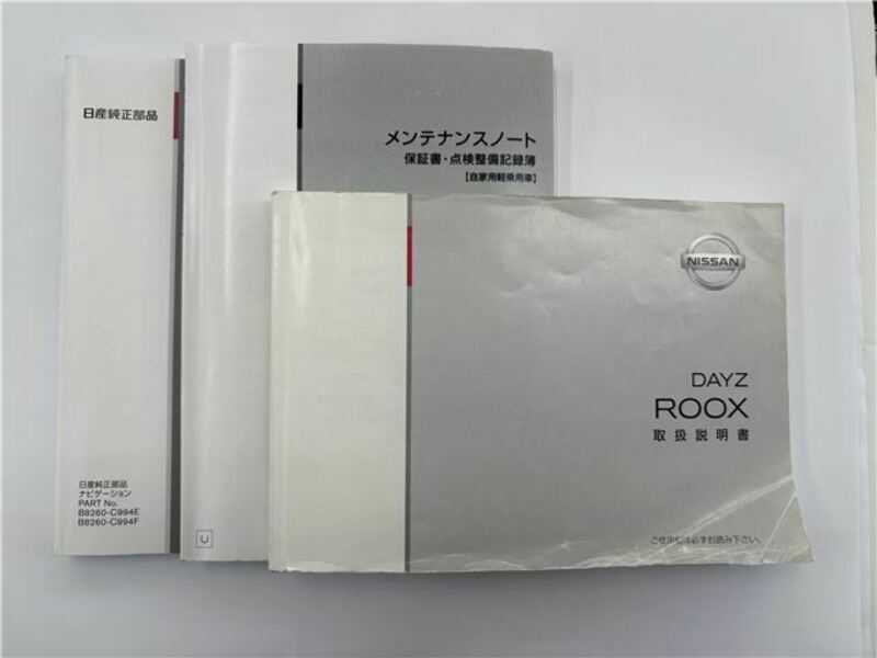 DAYZ ROOX-48