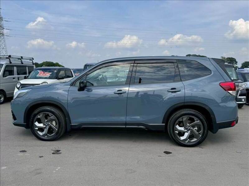 FORESTER
