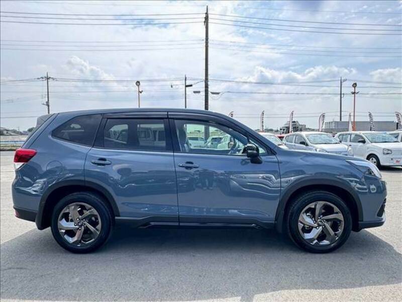 FORESTER