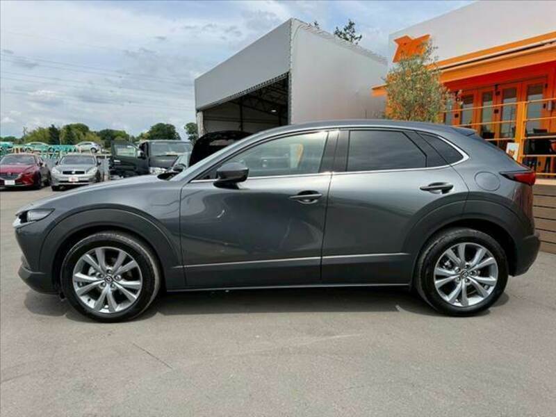 CX-30
