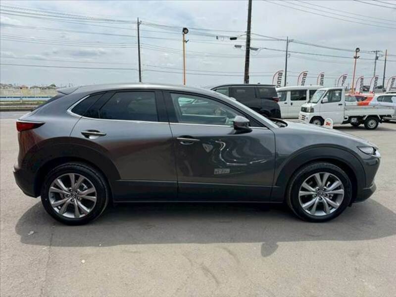 CX-30