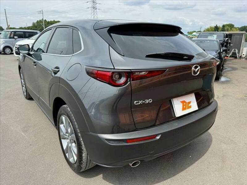 CX-30