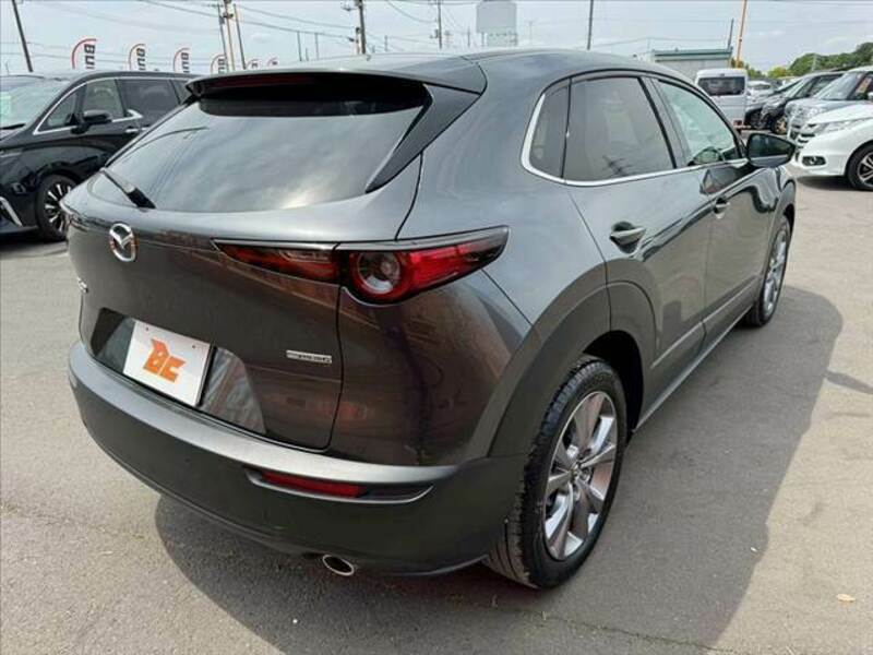 CX-30