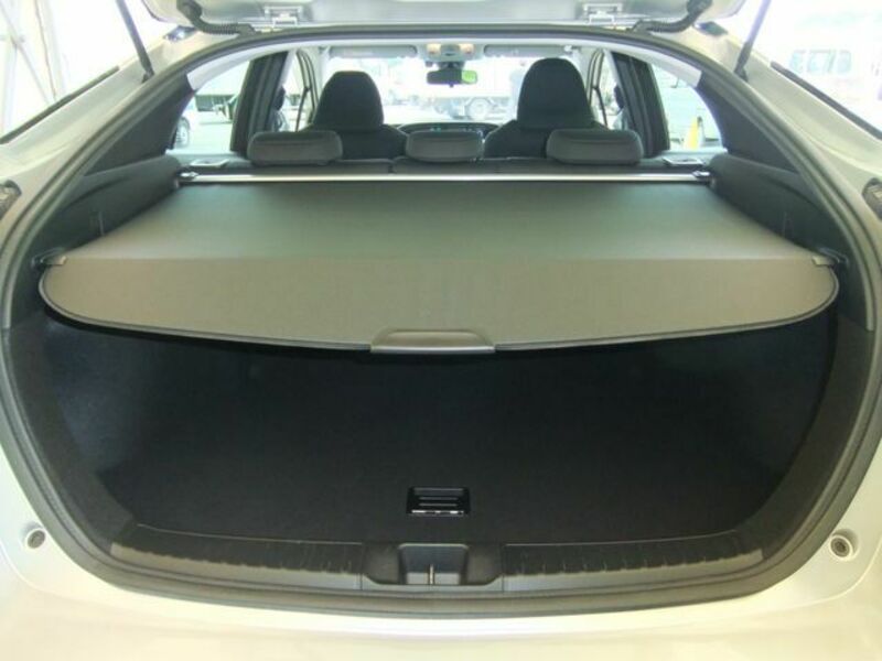 PRIUS-17