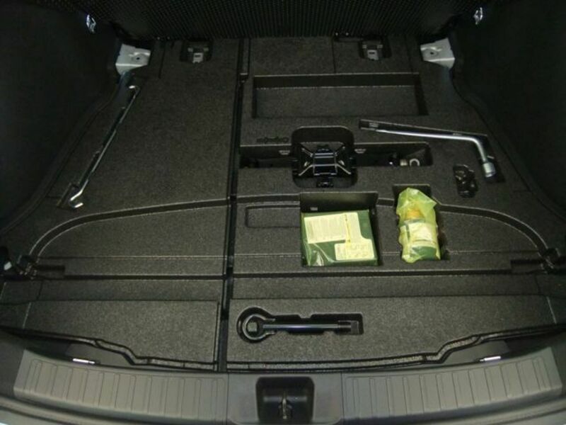 PRIUS-19